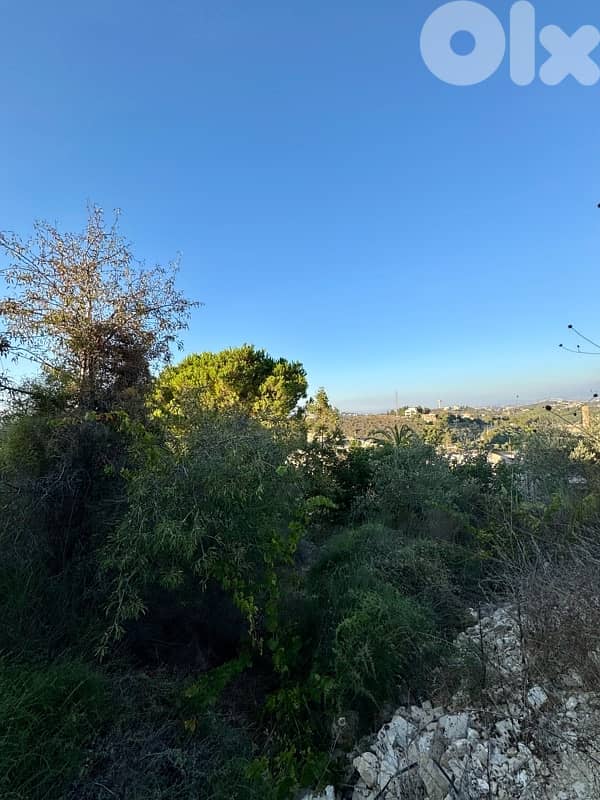 1200m² Land For Sale In jrane-Batroun أرض للبيع في البترون 3