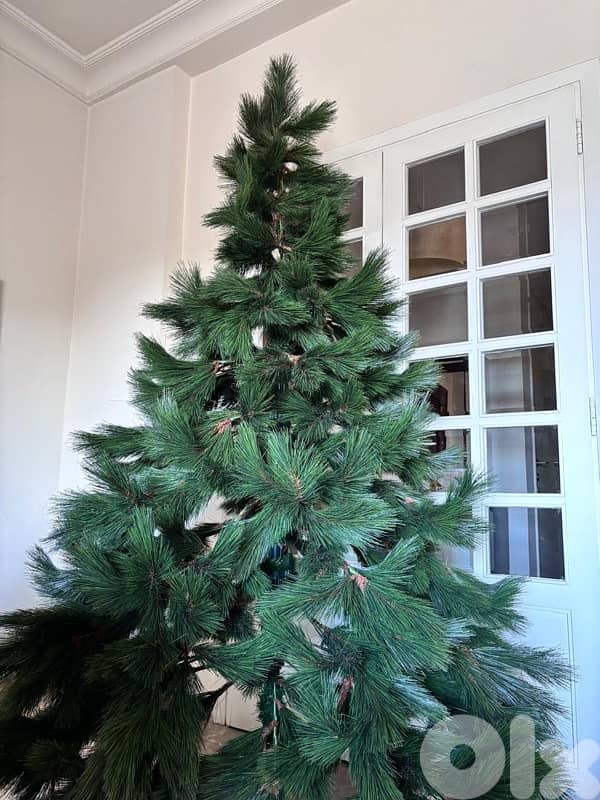 Christmas Tree 0