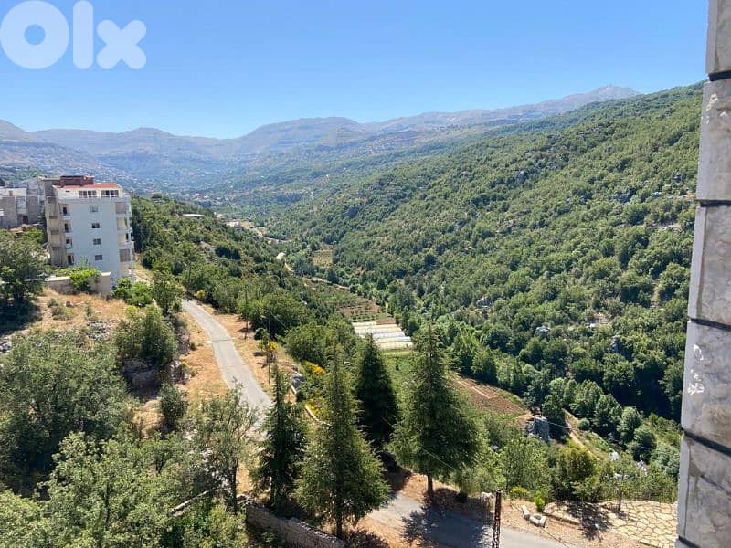 Beautiful apartment for sale in Mayrouba 0