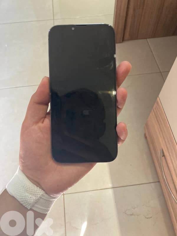 iphone 13 pro max 1
