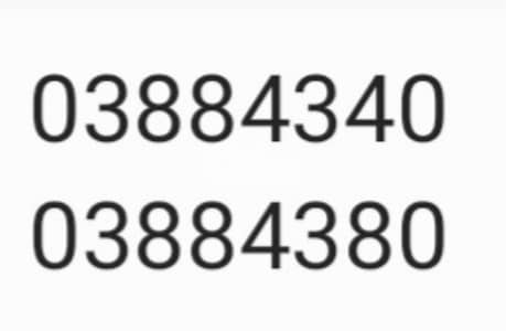 couples mobile numbers