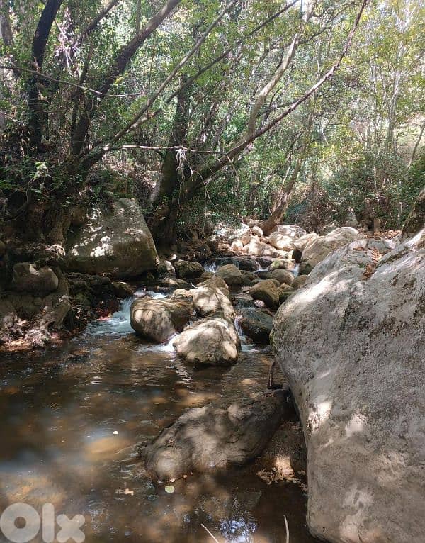 أرض للبيع في نبع الصفا  الشوف بريح chouf  land for sale in 1