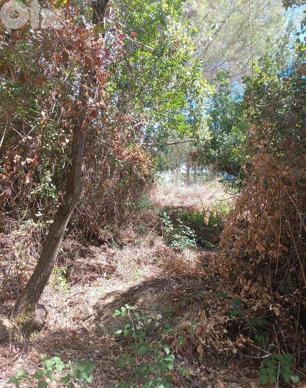 أرض للبيع في نبع الصفا  الشوف بريح chouf  land for sale in 2