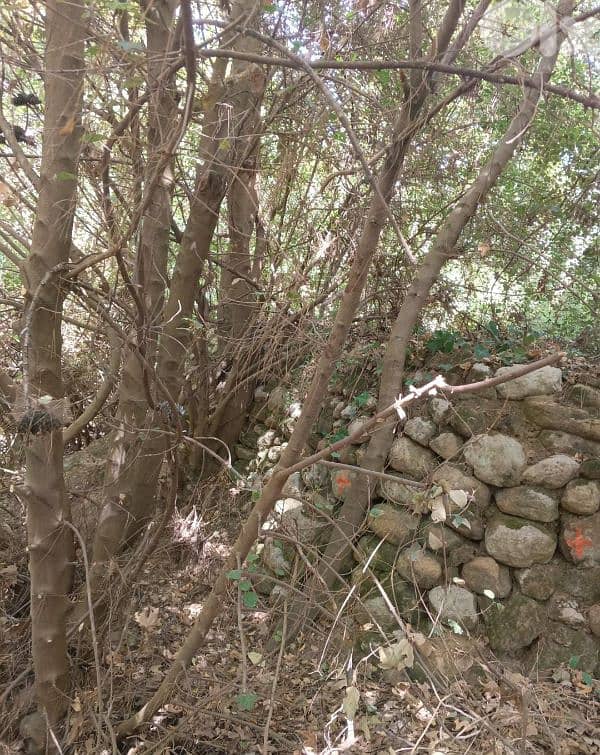 أرض للبيع في نبع الصفا  الشوف بريح chouf  land for sale in 4