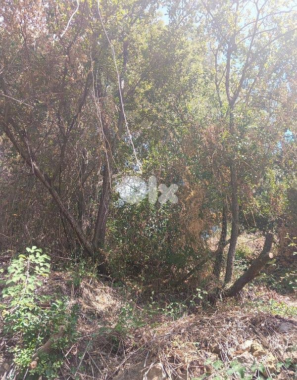 أرض للبيع في نبع الصفا  الشوف بريح chouf  land for sale in 7