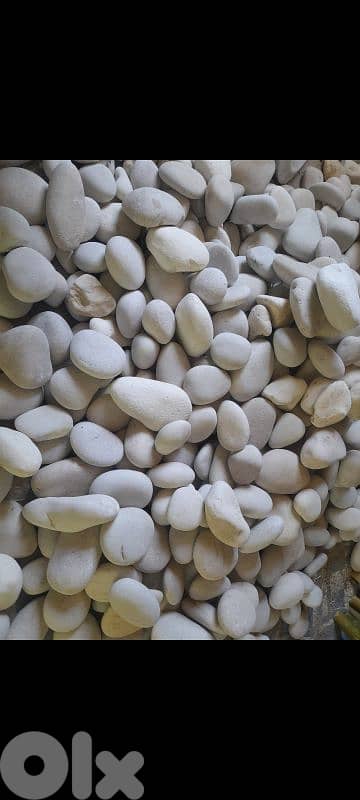 بحص حجار ابيض والوان مشكل و قياسات