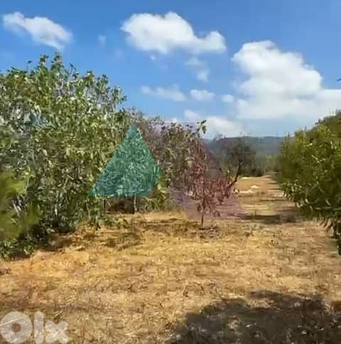 Prime Land +mountain View 4 sale in Aarbaniye - أرض للبيع في العربانية 0