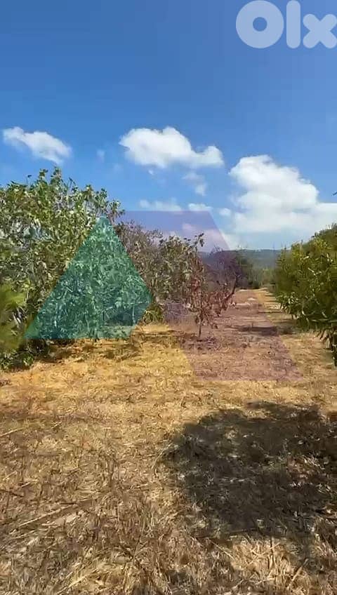 Prime Land +mountain View 4 sale in Aarbaniye - أرض للبيع في العربانية 2