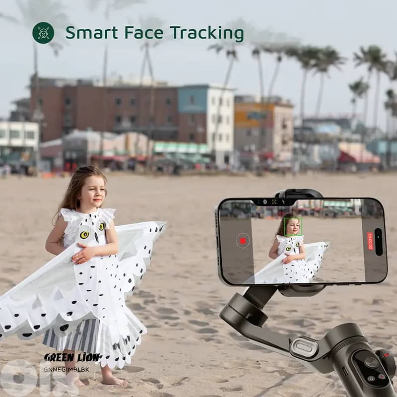 Green Lion New York Gimbal 3