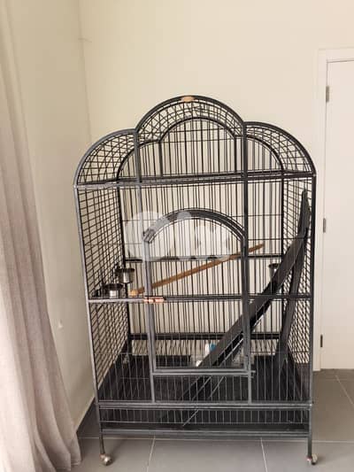 New parrot cage