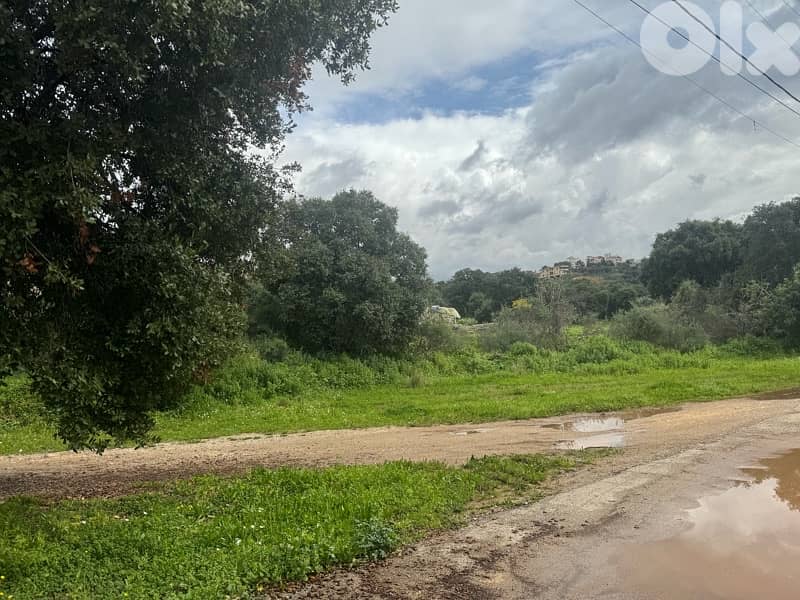 land for sale in amchit 2