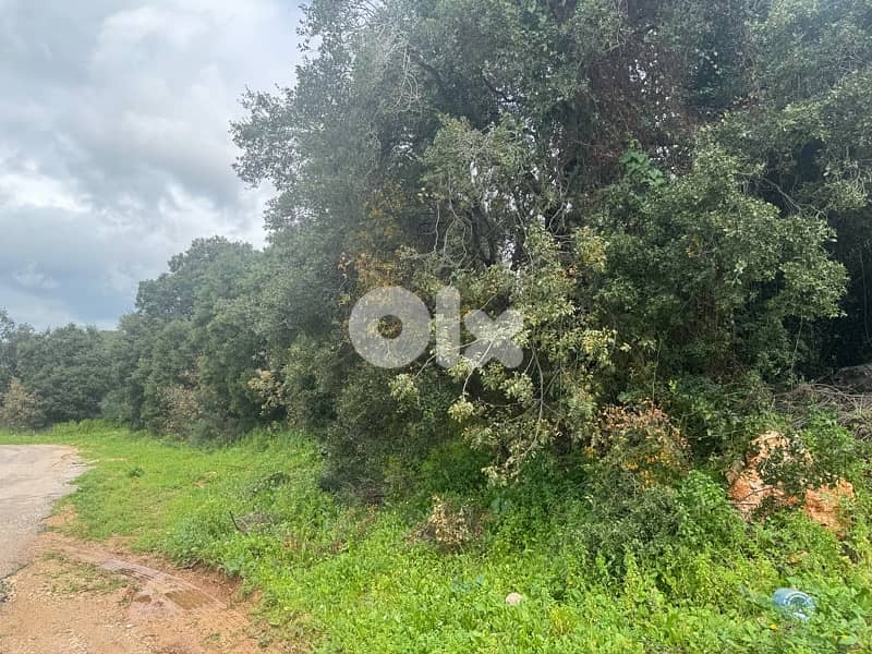 land for sale in amchit 4