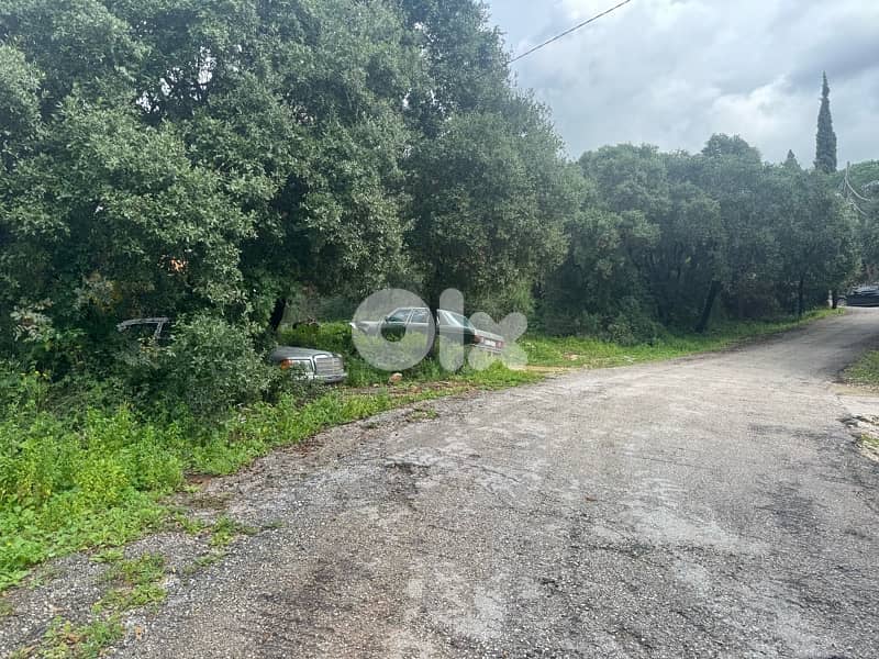 land for sale in amchit 6