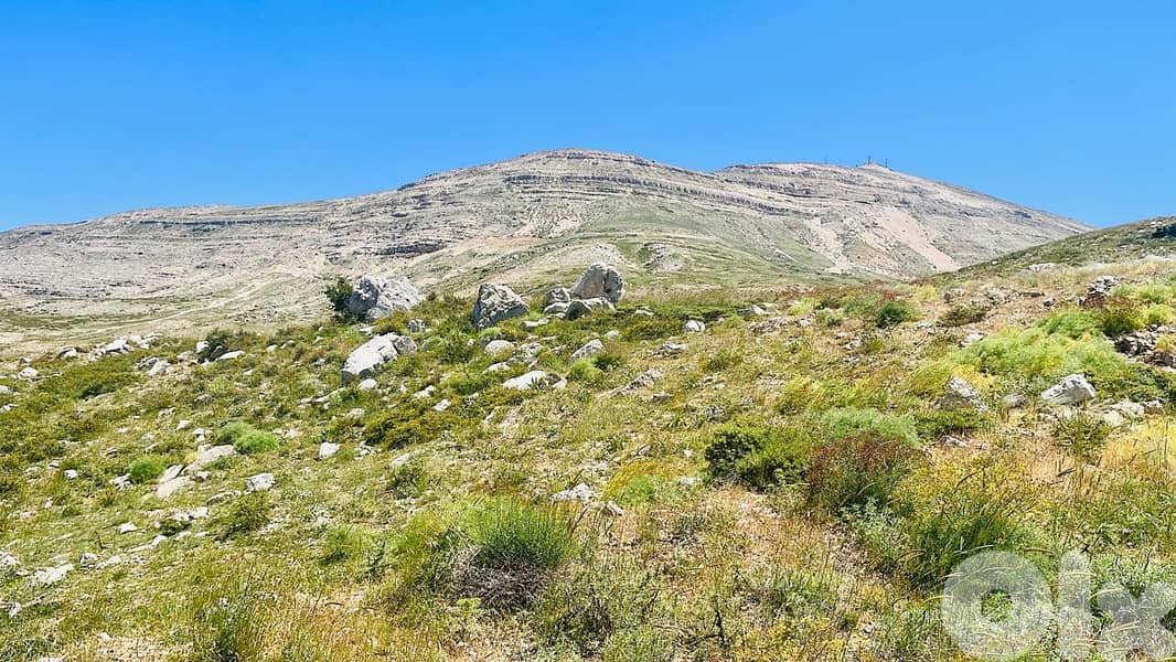 Hot Deal LAND For SALE in BAKICH أرض في باكيش 3