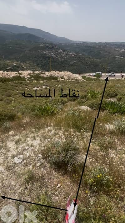 صيدا كفرفلوس
