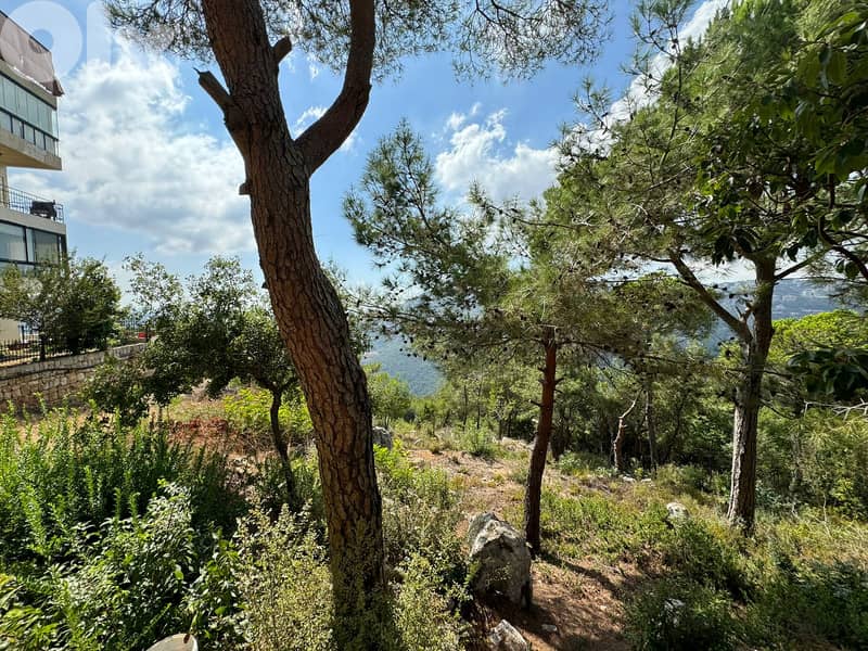 L17137 - 980 SQM Land For Sale in Qortada With A Nice View 2