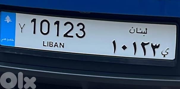 10123