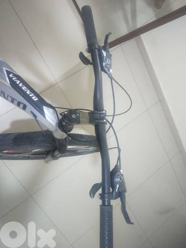 via Veneto bicycle 1