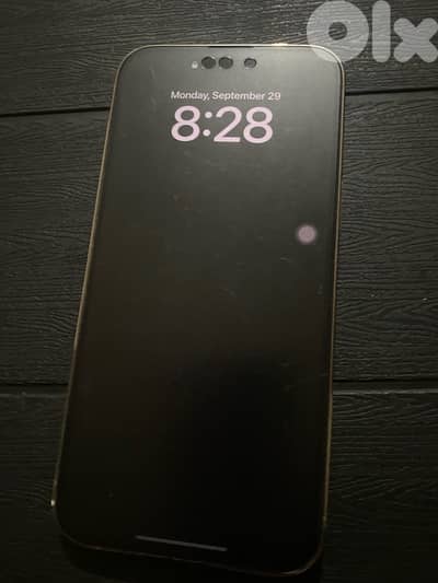 iphone 14 pro max 256gb