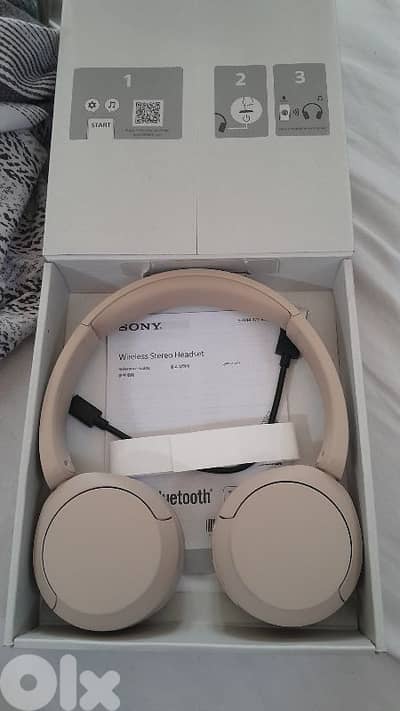 Sony WH-CH520