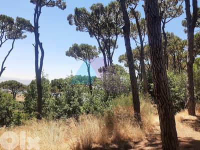 2 bedroom stand alone home+mountain view 4rent in Douar-منزل في الدوار