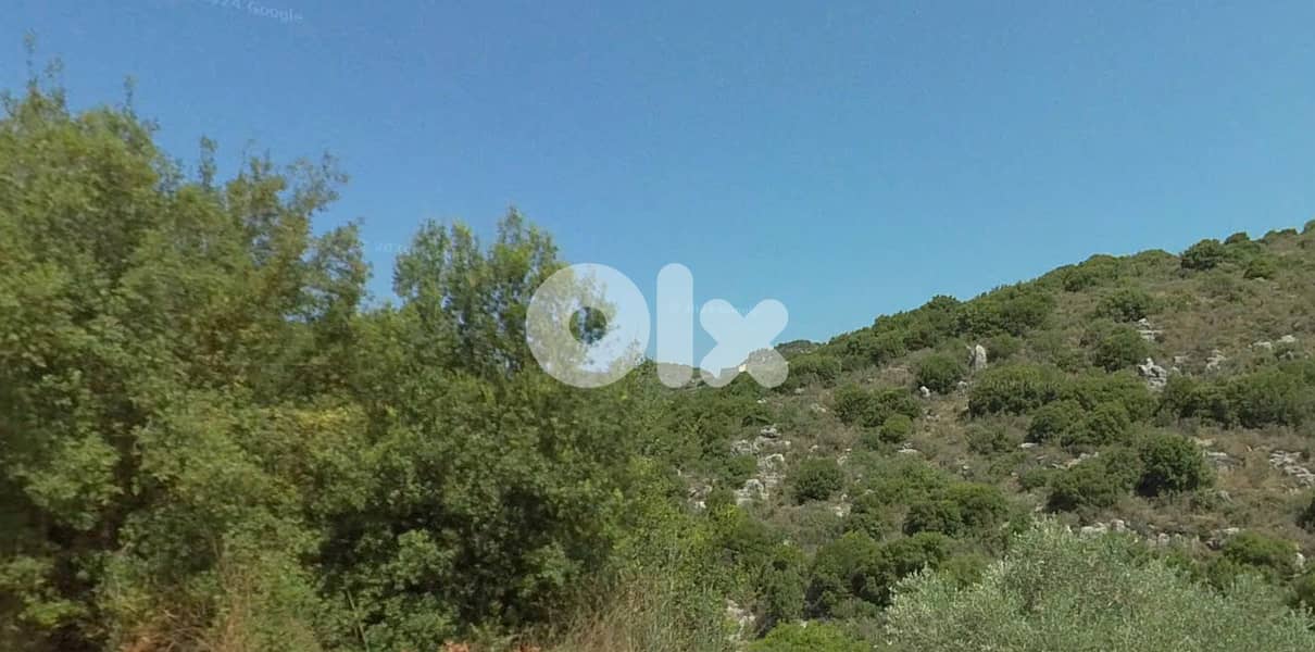 Land for sale in Mrah El ZIyet-Batroun أرض للبيع في مراح الزيات 0