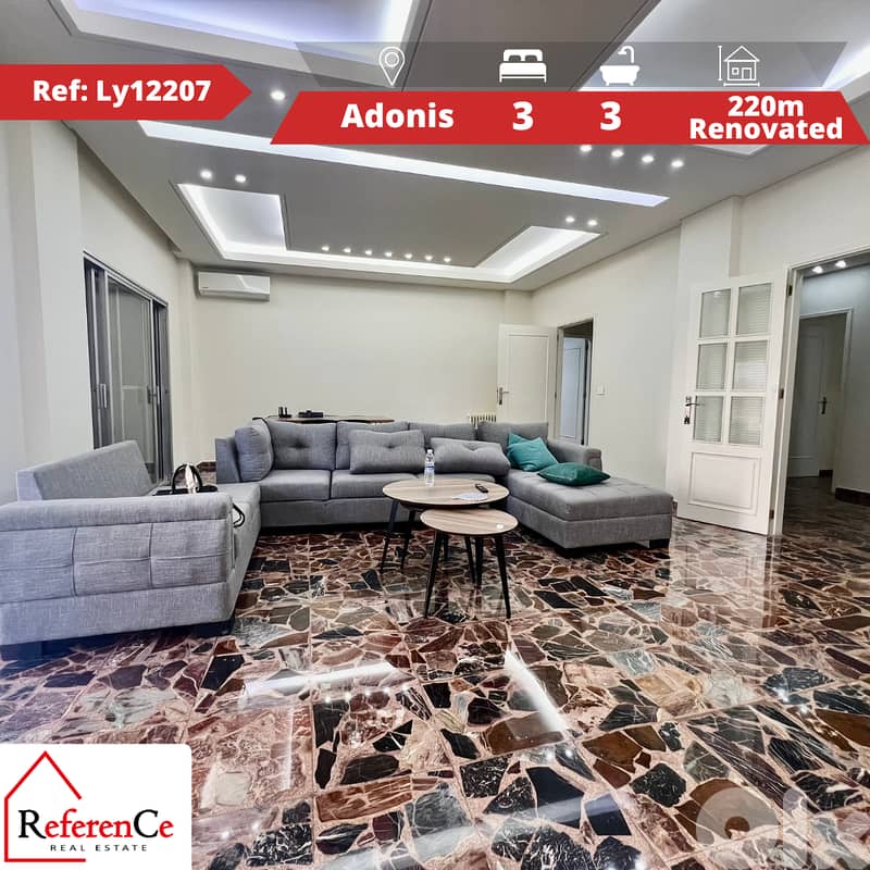 Renovated apartment in Adonis for sale شقة للبيع في أدونيس 0