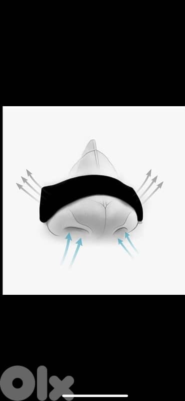 Nose Strips 1