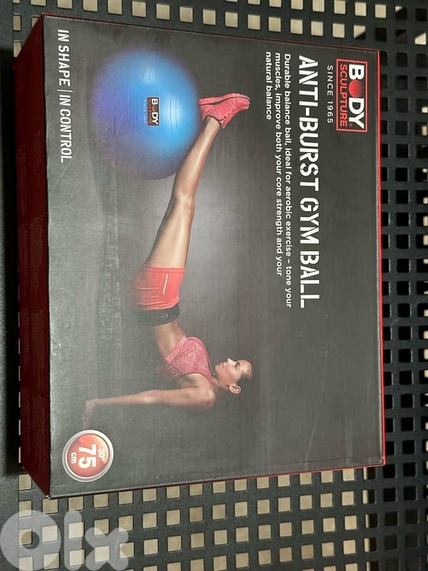 Body sculpture Gym ball 1