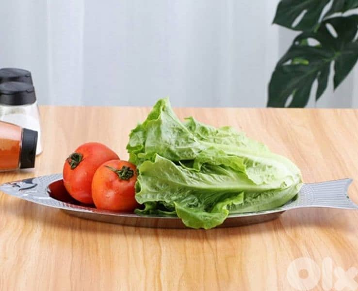 stainless steel fish plate 1