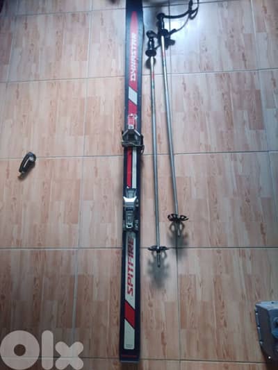 ski dynastar