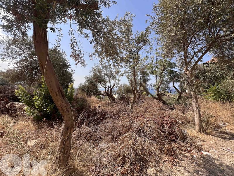 Land For Sale In Blat | Open Sea View | أرض للبيع | PLS 26383 1