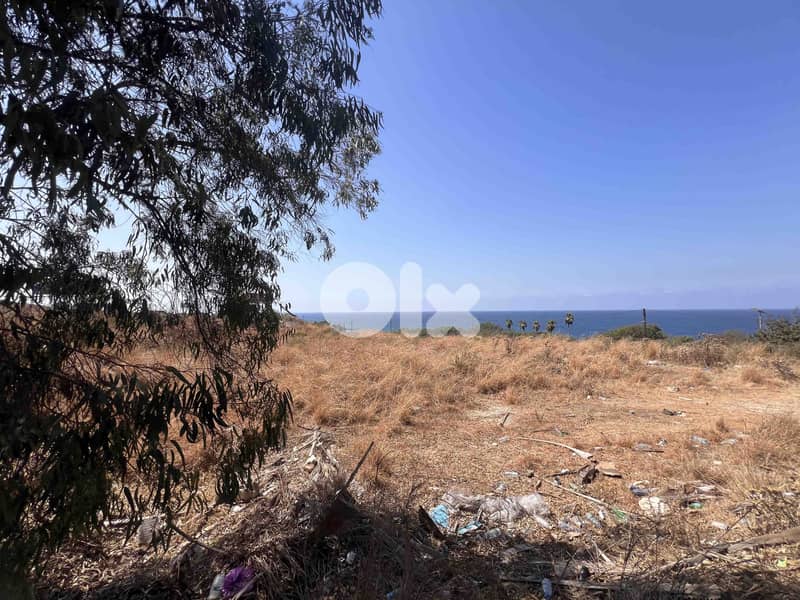 Land For Sale In Berbara | Open Sea View | أرض للبيع | PLS 26385 0