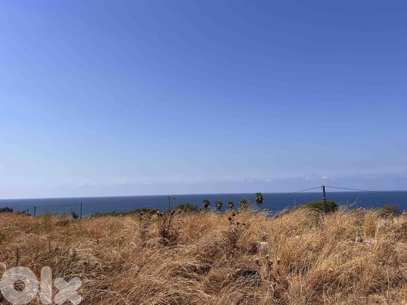 Land For Sale In Berbara | Open Sea View | أرض للبيع | PLS 26385 1
