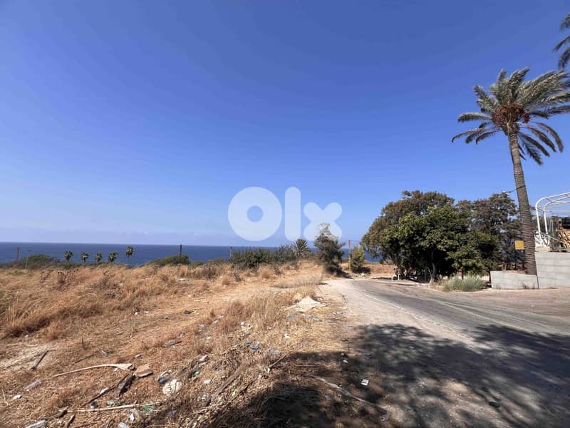 Land For Sale In Berbara | Open Sea View | أرض للبيع | PLS 26385 5