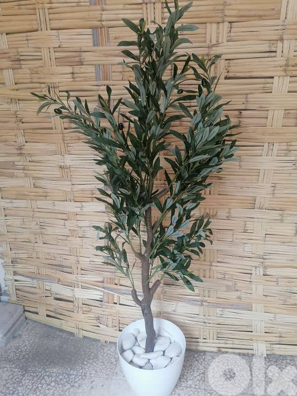 نباتات صناعية و اشجار حسب الطلب Customizable Artifical plants/Trees 1