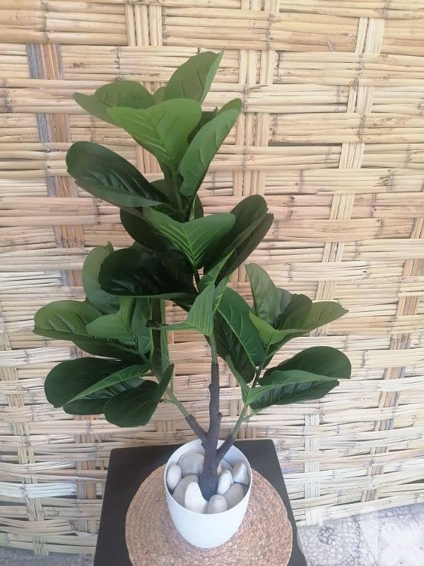 نباتات صناعية و اشجار حسب الطلب Customizable Artifical plants/Trees 2