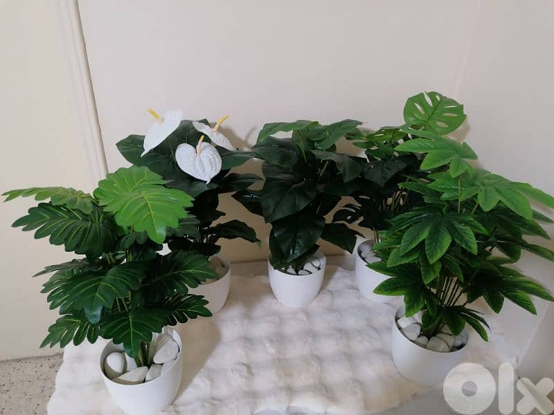 نباتات صناعية و اشجار حسب الطلب Customizable Artifical plants/Trees 3