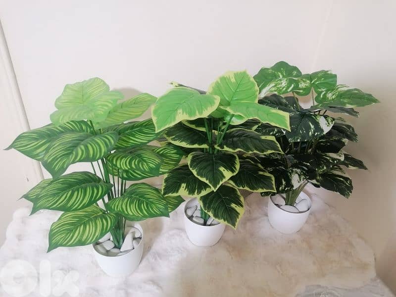 نباتات صناعية و اشجار حسب الطلب Customizable Artifical plants/Trees 4