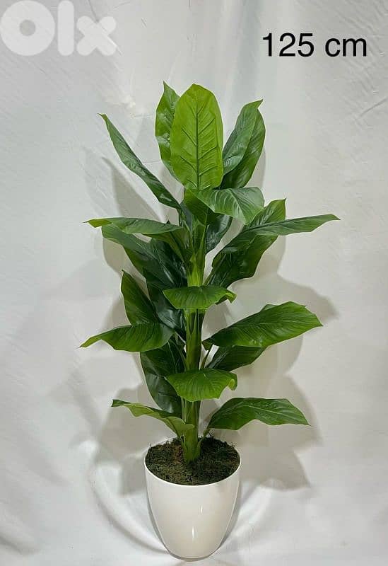 نباتات صناعية و اشجار حسب الطلب Customizable Artifical plants/Trees 7