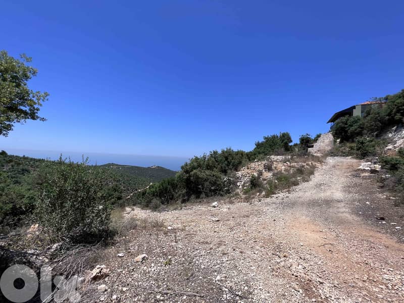 Land For Sale In Breij Jbeil | Open View | أرض للبيع | PLS 25715 1