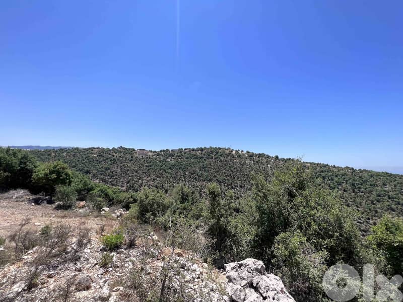 Land For Sale In Breij Jbeil | Open View | أرض للبيع | PLS 25715 2