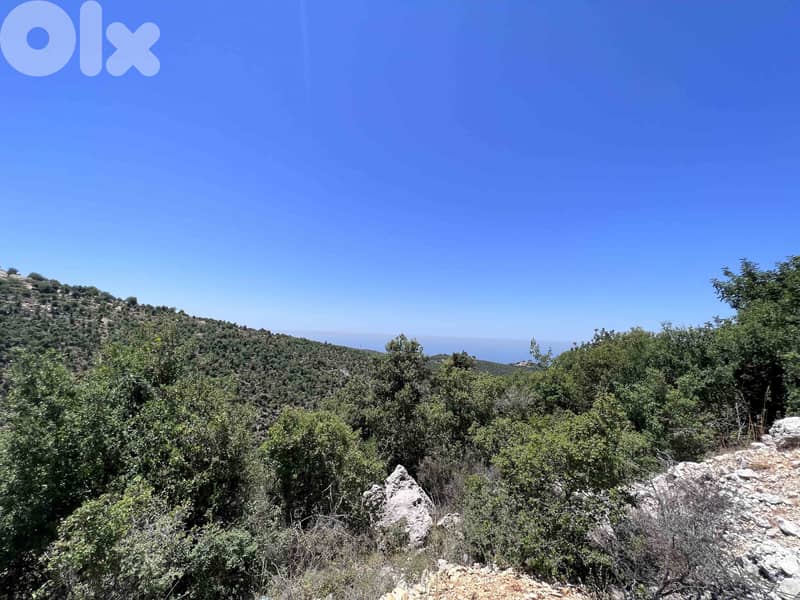 Land For Sale In Breij Jbeil | Open View | أرض للبيع | PLS 25715 3