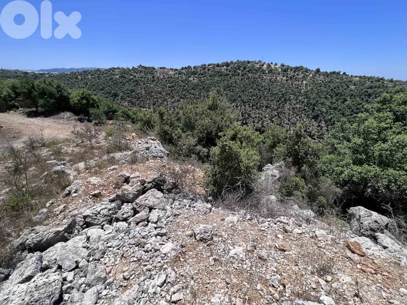 Land For Sale In Breij Jbeil | Open View | أرض للبيع | PLS 25715 4