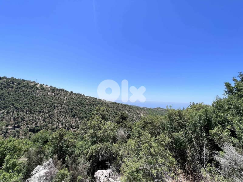 Land For Sale In Breij Jbeil | Open View | أرض للبيع | PLS 25715 5