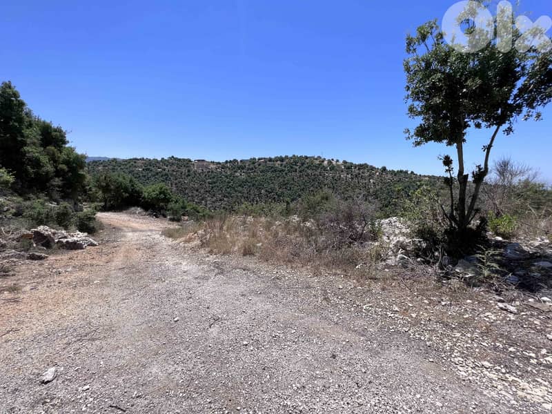 Land For Sale In Breij Jbeil | Open View | أرض للبيع | PLS 25715 7
