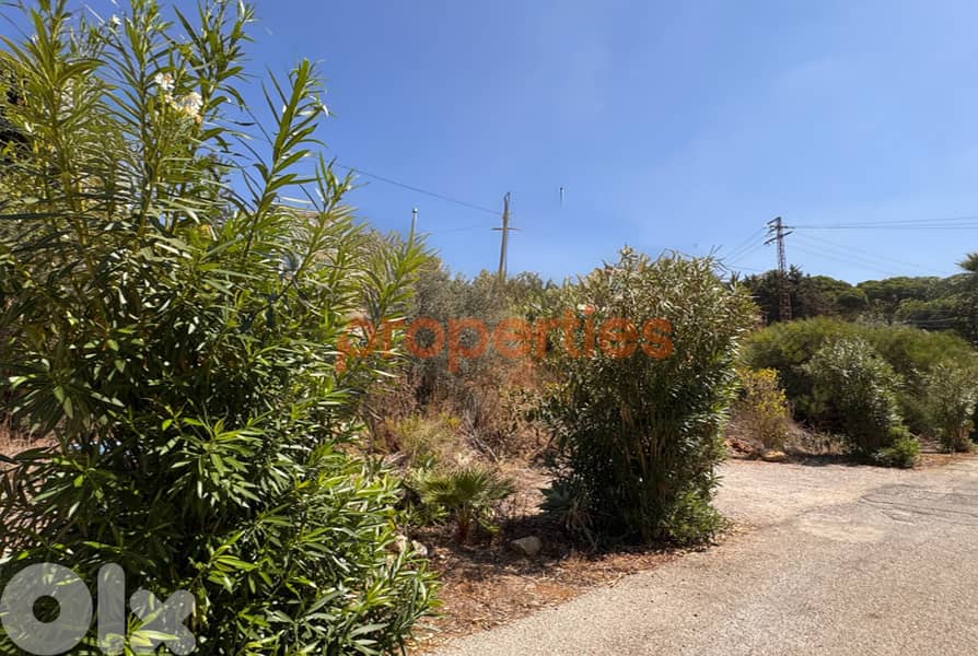 Land For Rent In Dik El Mehdi – CPTA09 0