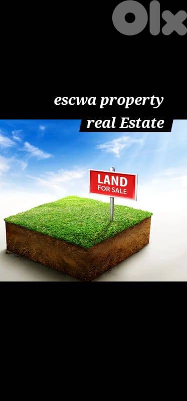 land for sale in safra أرض للبيع في الصفرا