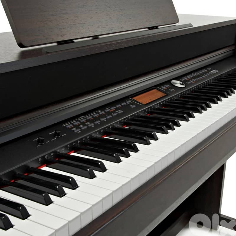 Medeli DP388  With 88 Key Digital Piano ( BAS ) technolgy,high sound 1