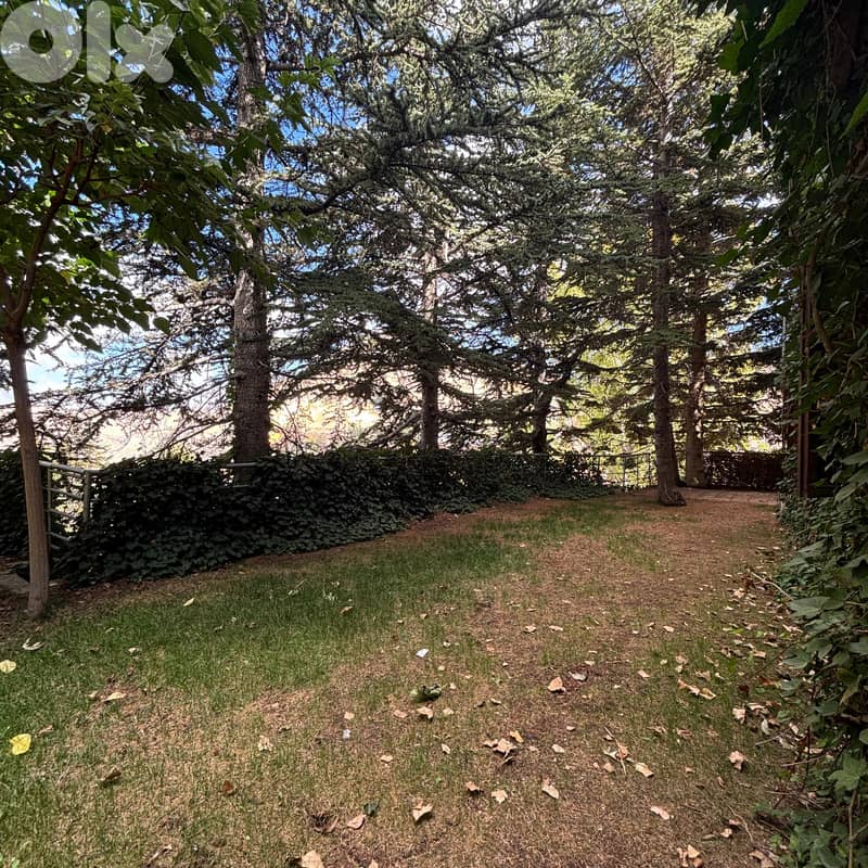 250 Sqm Chalet in Plateau de Mzaar with Garden 10